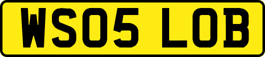 WS05LOB