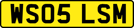WS05LSM