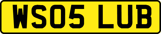 WS05LUB