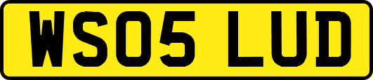 WS05LUD