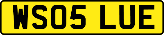 WS05LUE