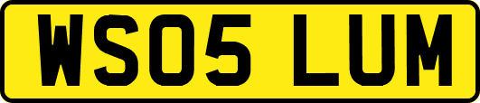 WS05LUM