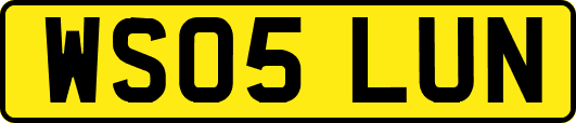 WS05LUN