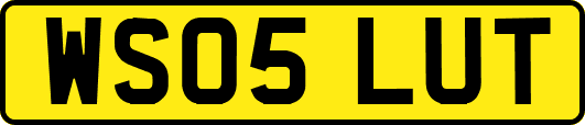 WS05LUT