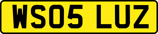 WS05LUZ