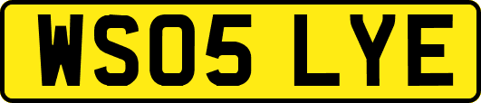 WS05LYE