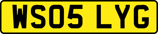 WS05LYG