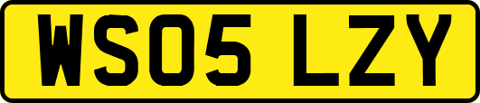 WS05LZY