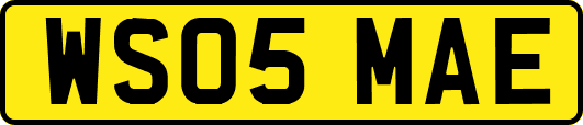 WS05MAE