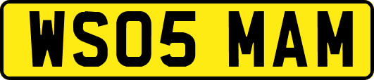 WS05MAM