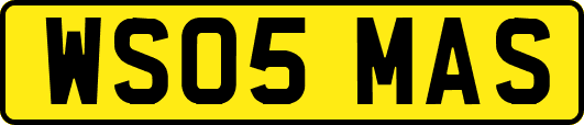 WS05MAS