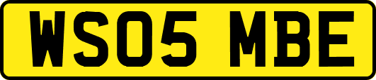 WS05MBE