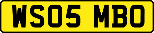 WS05MBO