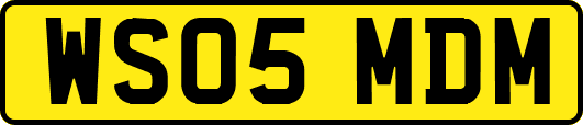 WS05MDM