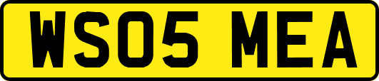 WS05MEA