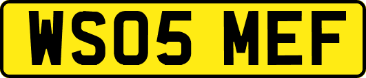 WS05MEF
