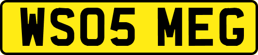 WS05MEG