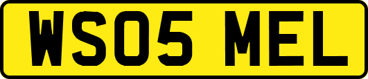 WS05MEL