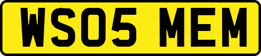WS05MEM