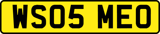 WS05MEO
