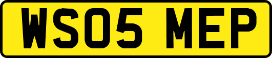 WS05MEP