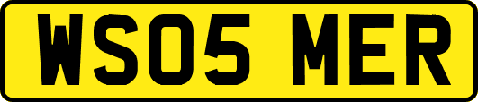 WS05MER