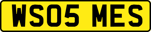 WS05MES