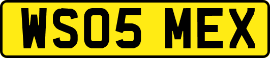 WS05MEX