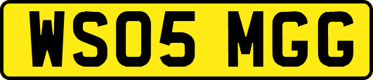 WS05MGG