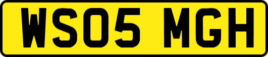 WS05MGH