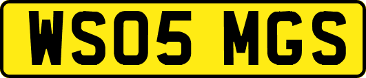 WS05MGS