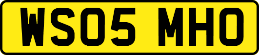 WS05MHO