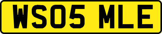 WS05MLE