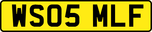 WS05MLF