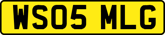 WS05MLG