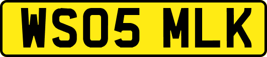 WS05MLK