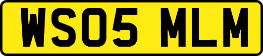 WS05MLM