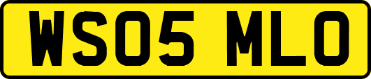 WS05MLO
