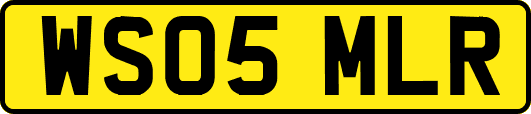 WS05MLR