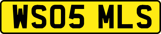 WS05MLS