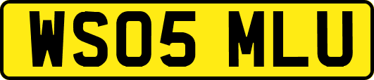 WS05MLU
