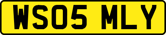 WS05MLY