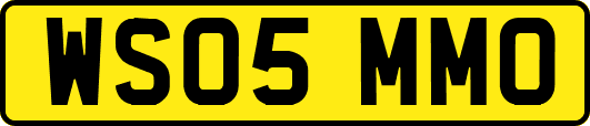 WS05MMO