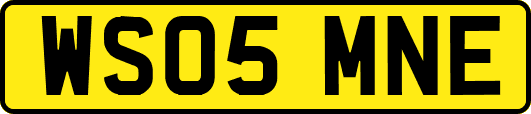 WS05MNE
