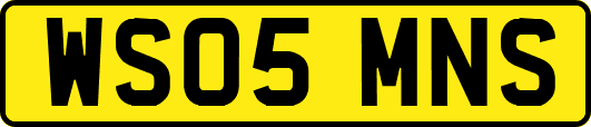 WS05MNS