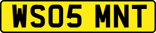 WS05MNT