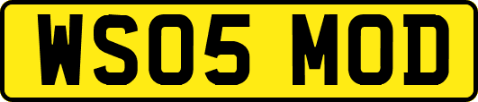 WS05MOD