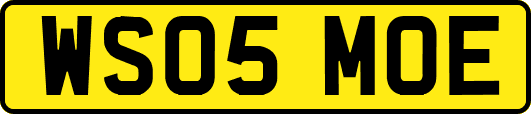 WS05MOE