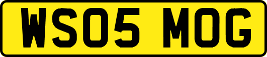 WS05MOG