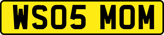 WS05MOM